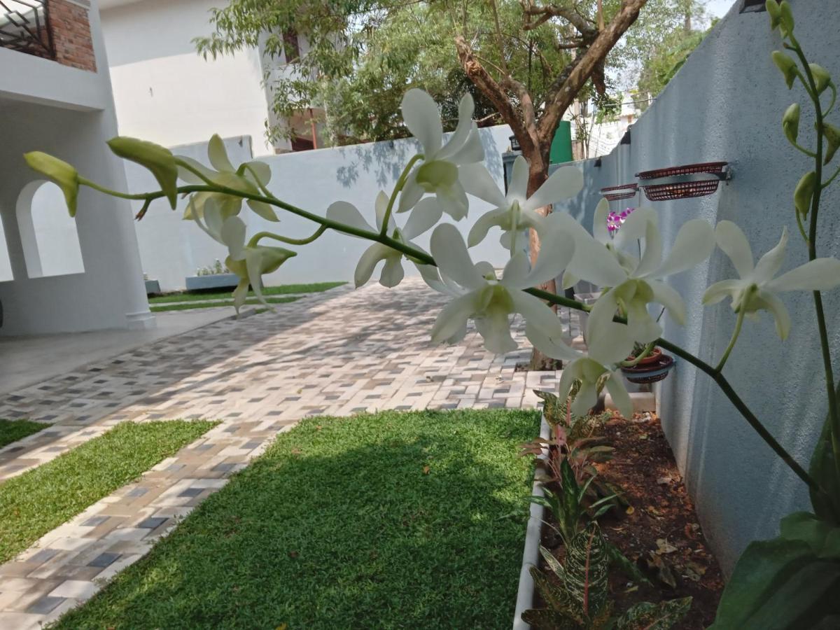 Sky Bloom Bed & Breakfast Homagama Exterior foto