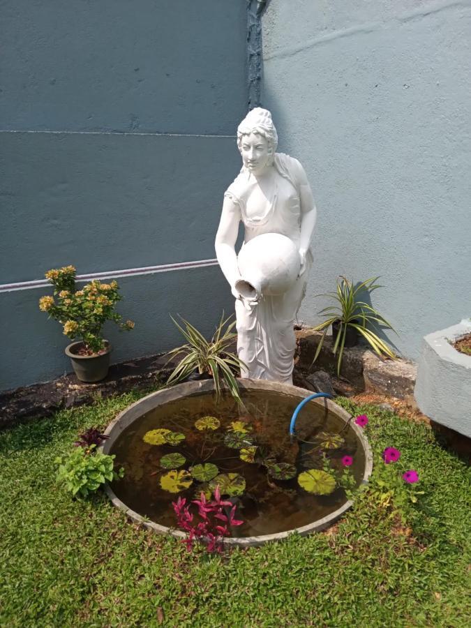 Sky Bloom Bed & Breakfast Homagama Exterior foto
